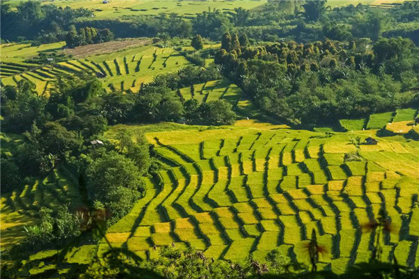 印尼風(fēng)景1.jpg